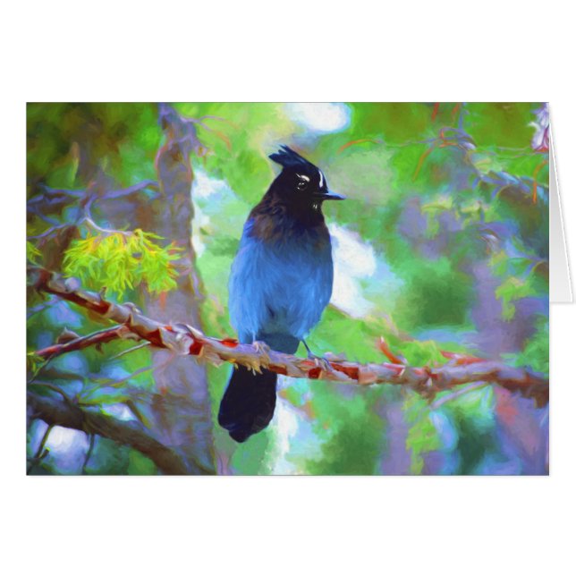 Steller's Jay Painting - Art original pour oiseaux (Devant horizontal)