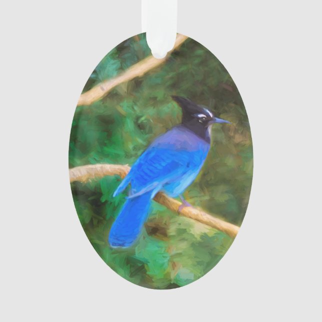 Steller's Jay Painting - Art original pour oiseaux (devant)