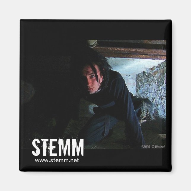 STEMM : Dan Magnet (Devant)