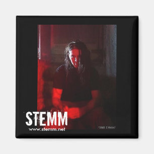 STEMM : Steve Magnet