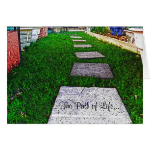 Stepping Stones par Shirley Taylor