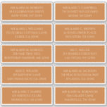 Sticker 10 Nom d'invité individuel Adresse Or Champagne<br><div class="desc">REMARQUE : VÉRIFIEZ LA TAILLE DE LA FEUILLE D'AUTOCOLLANTS POUR LA TAILLE D'ÉTIQUETTE REQUISE. LA TAILLE AFFICHÉE DANS LA ZONE DÉROULANTE EST CELLE DE LA FEUILLE ET NON DE LA TAILLE D'ÉTIQUETTE INDIVIDUELLE. Rendez l'installation de votre événement sans effort (et donnez-lui une touche particulièrement soignée) avec ces 10 autocollants individuels...</div>