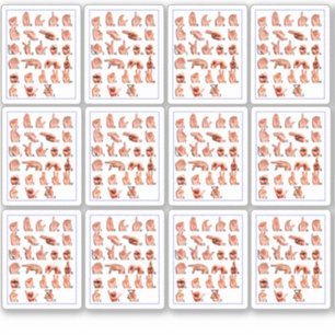 Sticker 12pcs Langue des Signes Américaine Tableau Alphabe