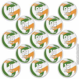 Sticker 13 couleurs d'équipe vert orange joueurs de volley
