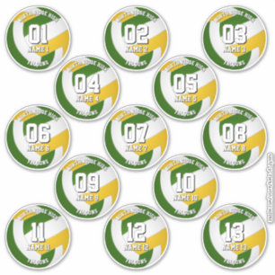 Sticker 13 joueurs de volley-ball de couleurs d'équipe ver