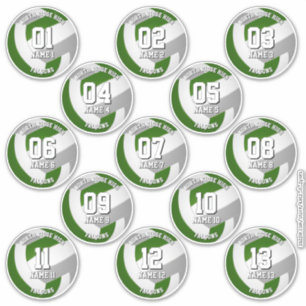 Sticker 13 joueurs de volley-ball gris vert couleurs de l'