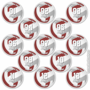 Sticker 13 joueurs de volley-ball marron gris équipe coule