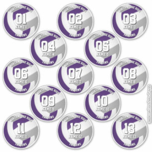 Sticker 13 joueurs de volley-ball violet gris couleur