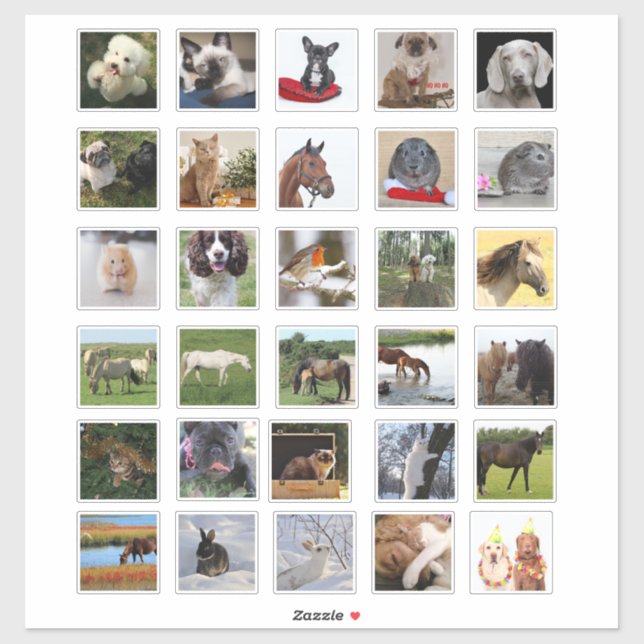 Sticker 30 x Journal de scrapbooking de collection photo p (Feuille)