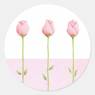 Sticker 3 Rosebuds Rose