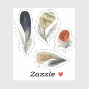 Sticker 4 plumes d'oiseau