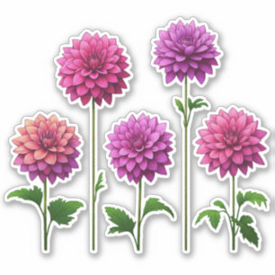 Sticker 5 Rose - Dahlia pourpre (clair)