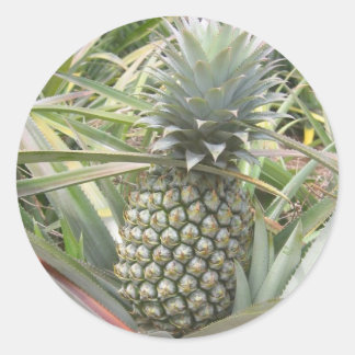 Sticker à ananas