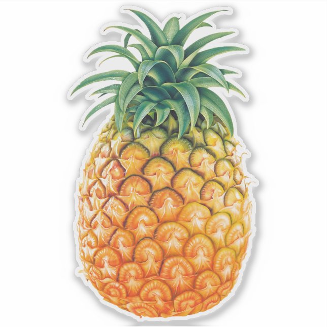 Sticker à ananas (Devant)