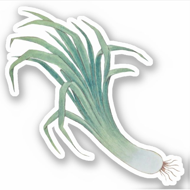 Sticker à contour pour poireaux de Saint-David (fR (Devant)