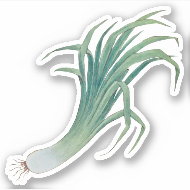 Sticker à contour pour poitrine de Saint-David (fL (Devant)