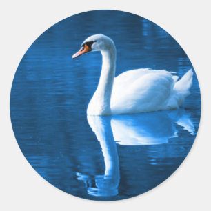 Sticker à cygne