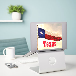 Sticker à drapeau texan de style rustique vintage