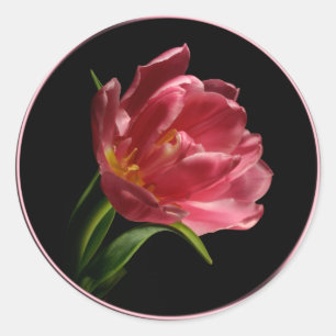 Sticker à enveloppe à double fleur ressort