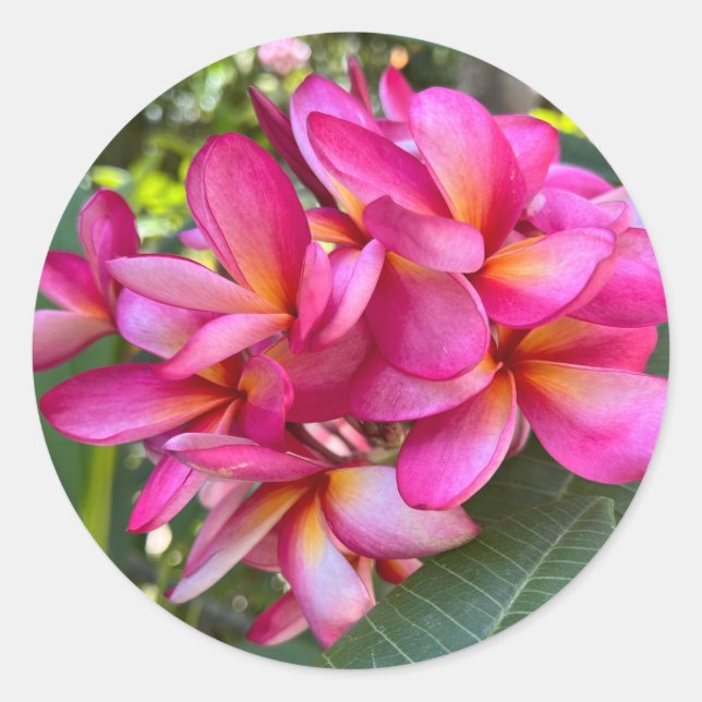 Sticker à fleurs tropicales (Devant)