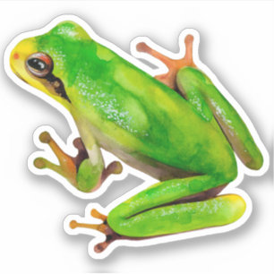 Sticker à la grenouille