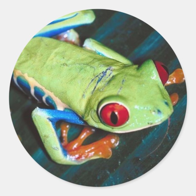 Sticker à la grenouille (Devant)