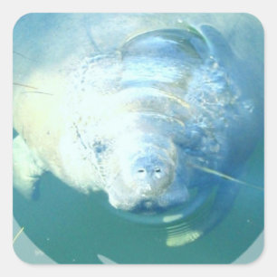 Sticker à main de Pékin