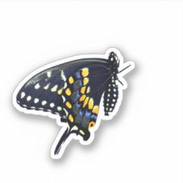 Sticker à papillon noir