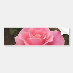Sticker à pare-chocs rose