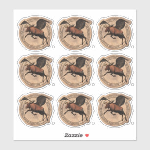 Sticker à patchs de Moose Aviation