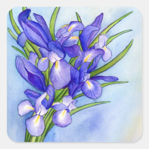 Sticker à peinture à fleurs Iris Bouquet