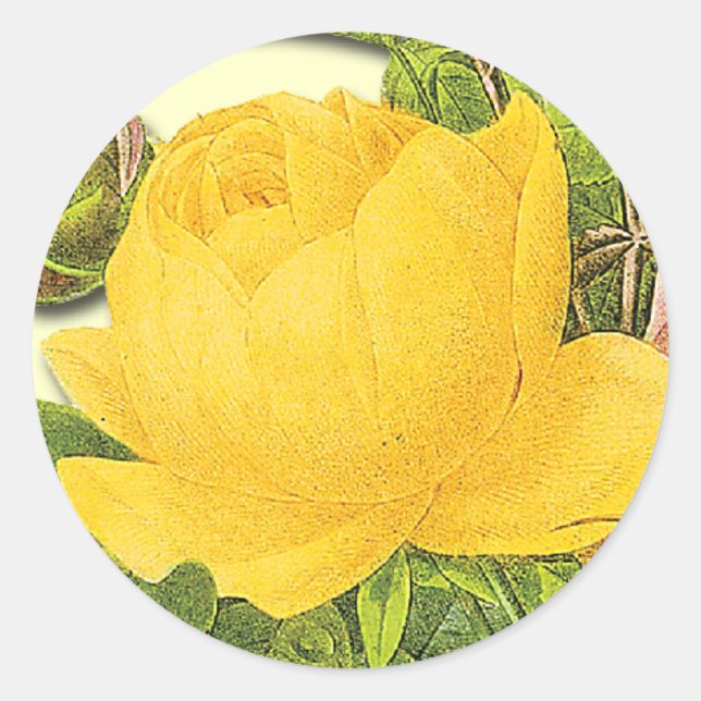 Sticker à rose jaune botanique (Devant)