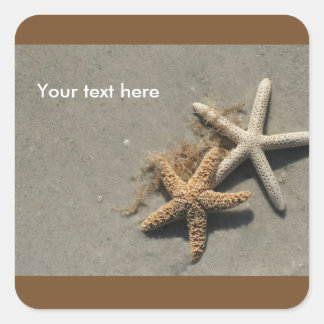 Sticker à thème de plage Étiquettes