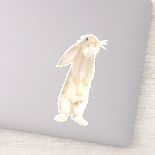 Sticker Adorable Lapin Fluffy