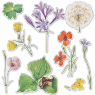 Sticker Affiche de bienvenue mariage Fleur sauvage coloré