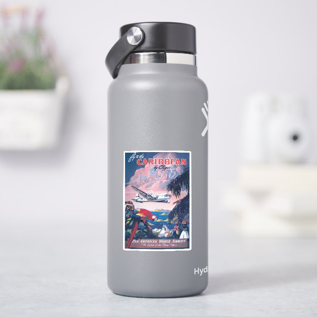 Sticker Affiche De Voyage D'Avion De Mer Survolant Les Car (HydroFlask)