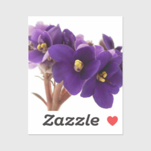 Sticker African violet
