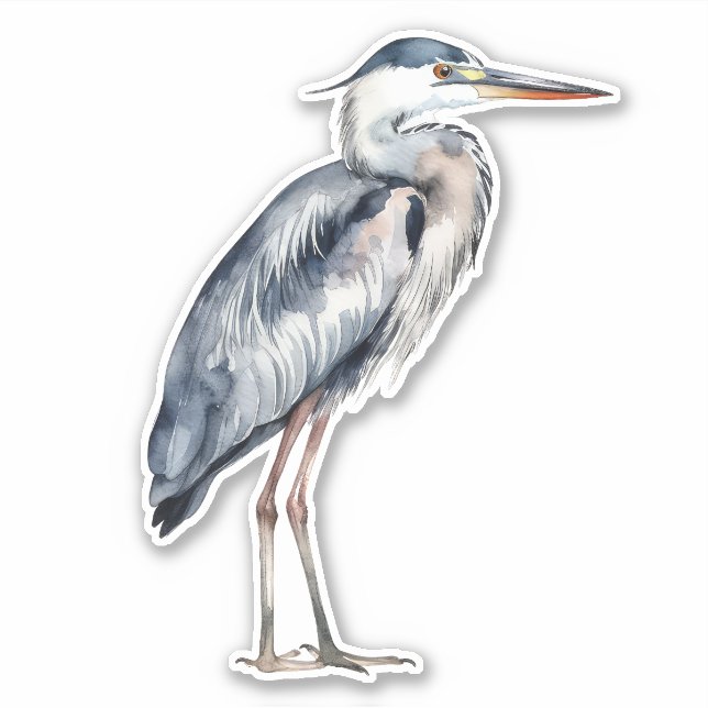 Sticker Aigrette bleue côtière (Devant)