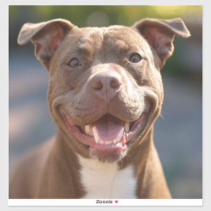 Sticker Ajouter une Personnaliser photo Pit Bull