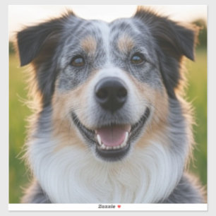 Sticker Ajouter une Personnaliser photo pour animaux domes