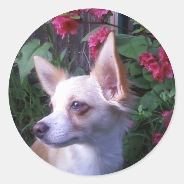 Sticker "Ajouter votre propre photo" (Devant)