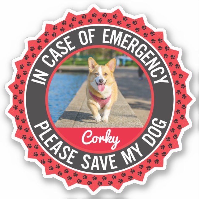 Sticker Alerte de sécurité pour animaux de compagnie En ca (Devant)