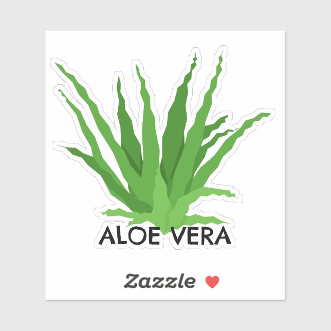 Sticker Aloe vera Green Succulent (Feuille)