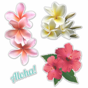 Sticker Aloha Fleurs Hawaïennes Plumeria Hibiscus 