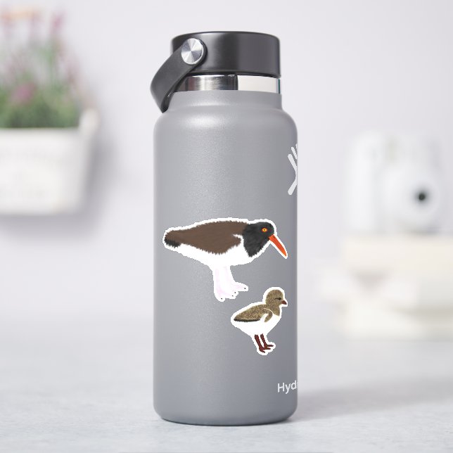 Sticker American Oystercatcher avec poussette (HydroFlask)