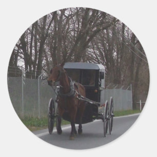 Sticker Amish Buggy
