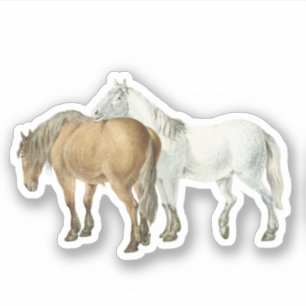 Sticker Amitié Chevaline Soutien Vintage Équestre 