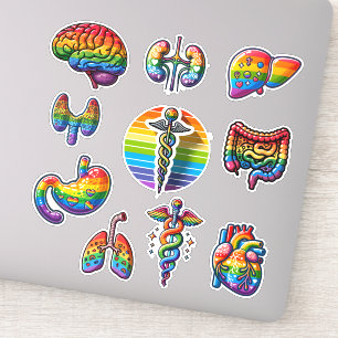 Sticker Anatomie arc-en-ciel