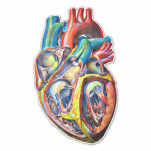 Sticker anatomie cardiaque humaine colorée art abstrait