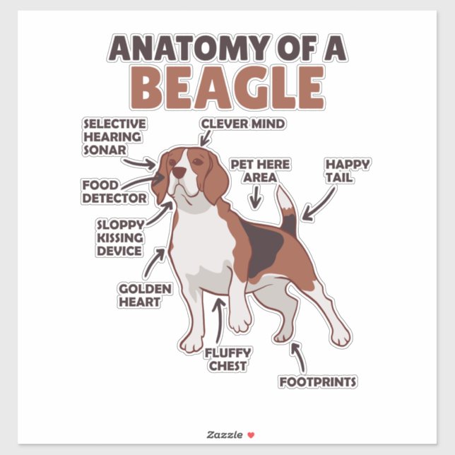 Sticker Anatomie D'Un Chien Beagle Mignonne Chien Drôle Be (Feuille)